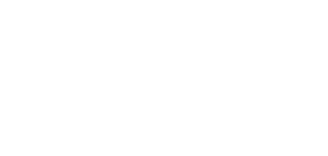 Pontes MedView
