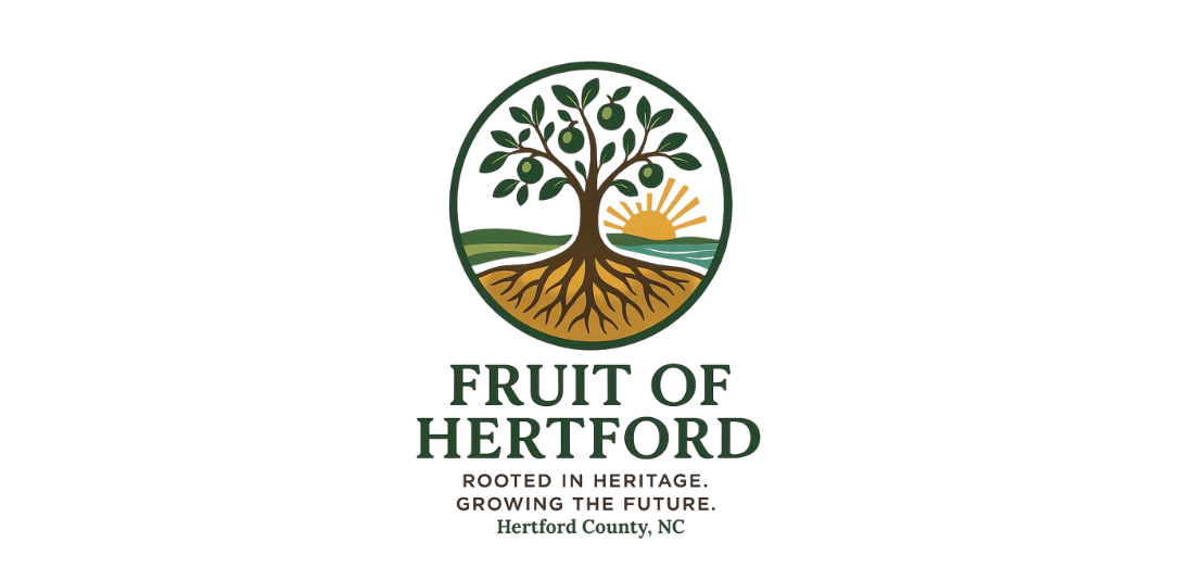 Fruit of Hertford