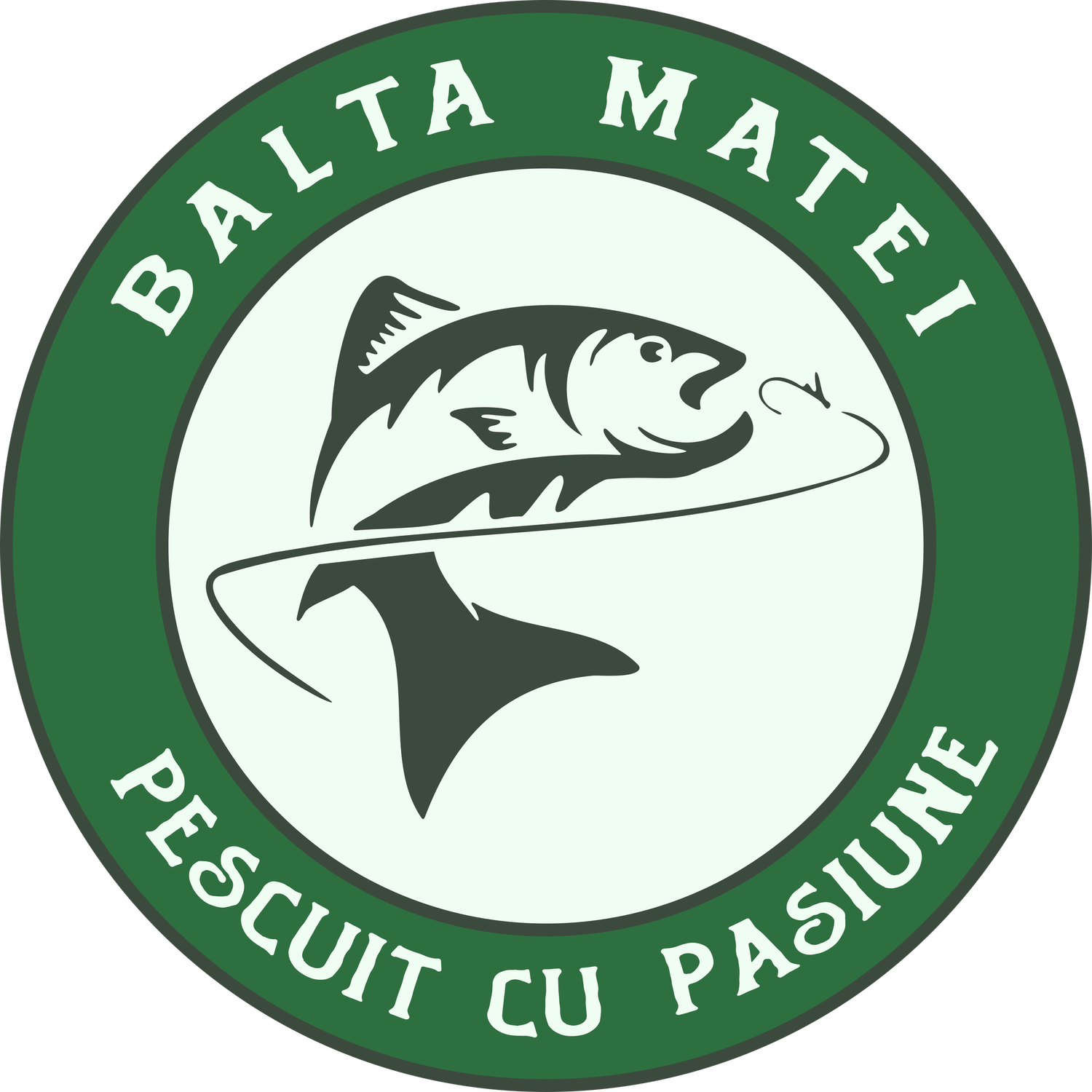 Balta Matei