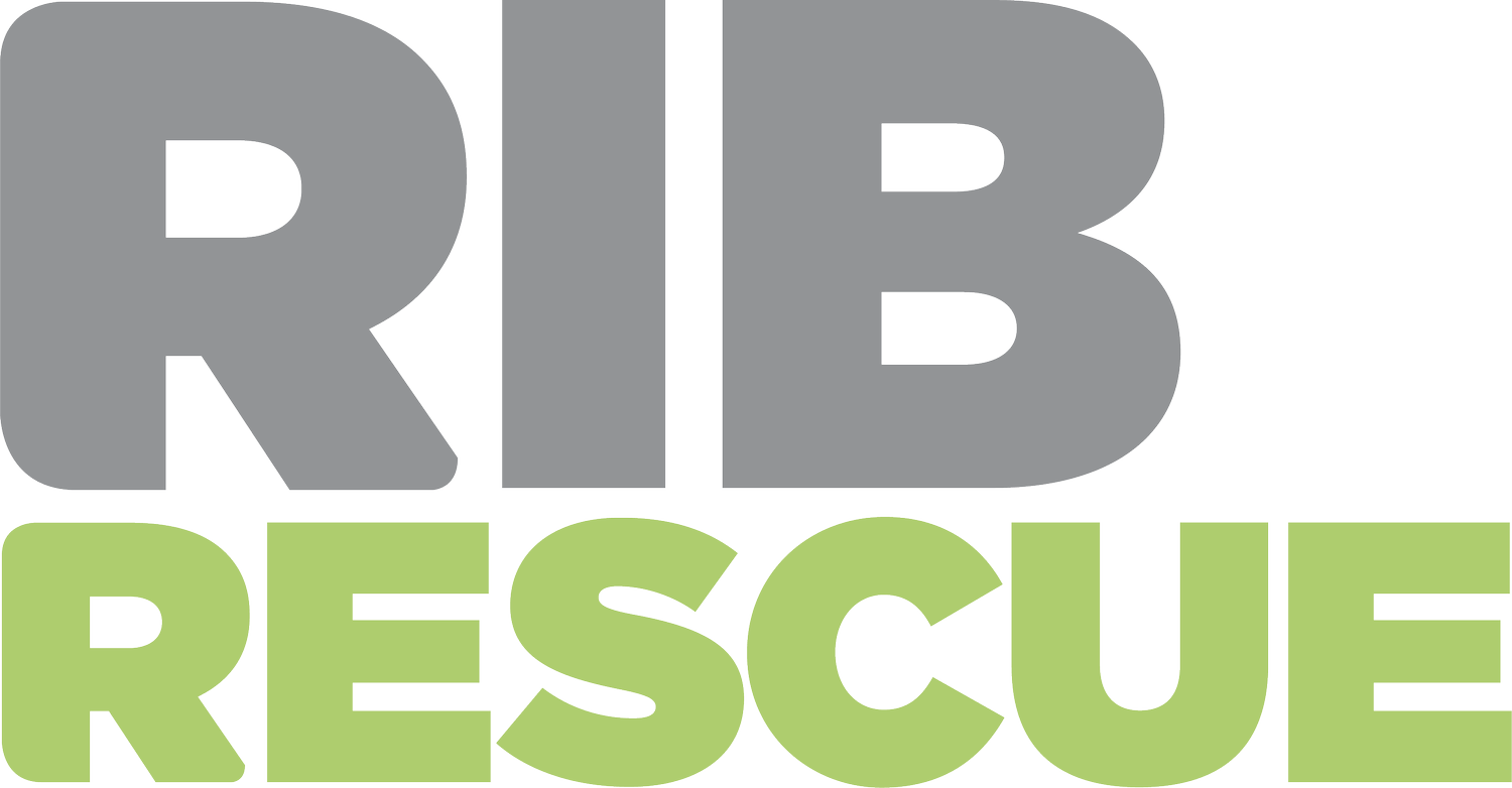 RIB Rescue