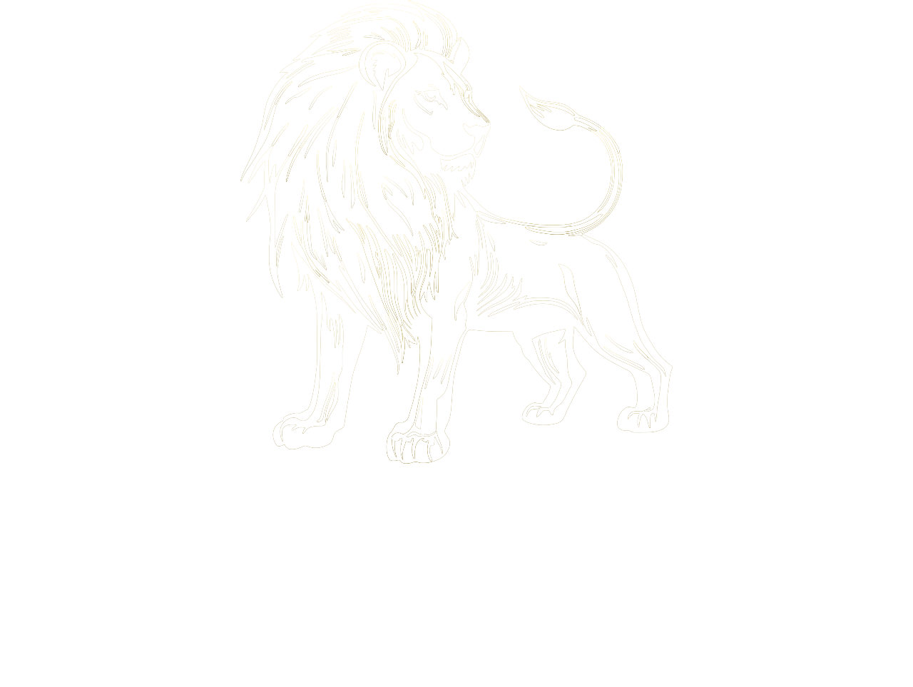 McCoy Capital