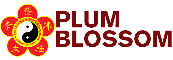Plum Blossom Kung Fu &amp; Tai Chi Academy