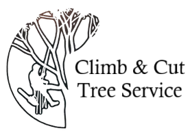 Climb & Cut Tree Services