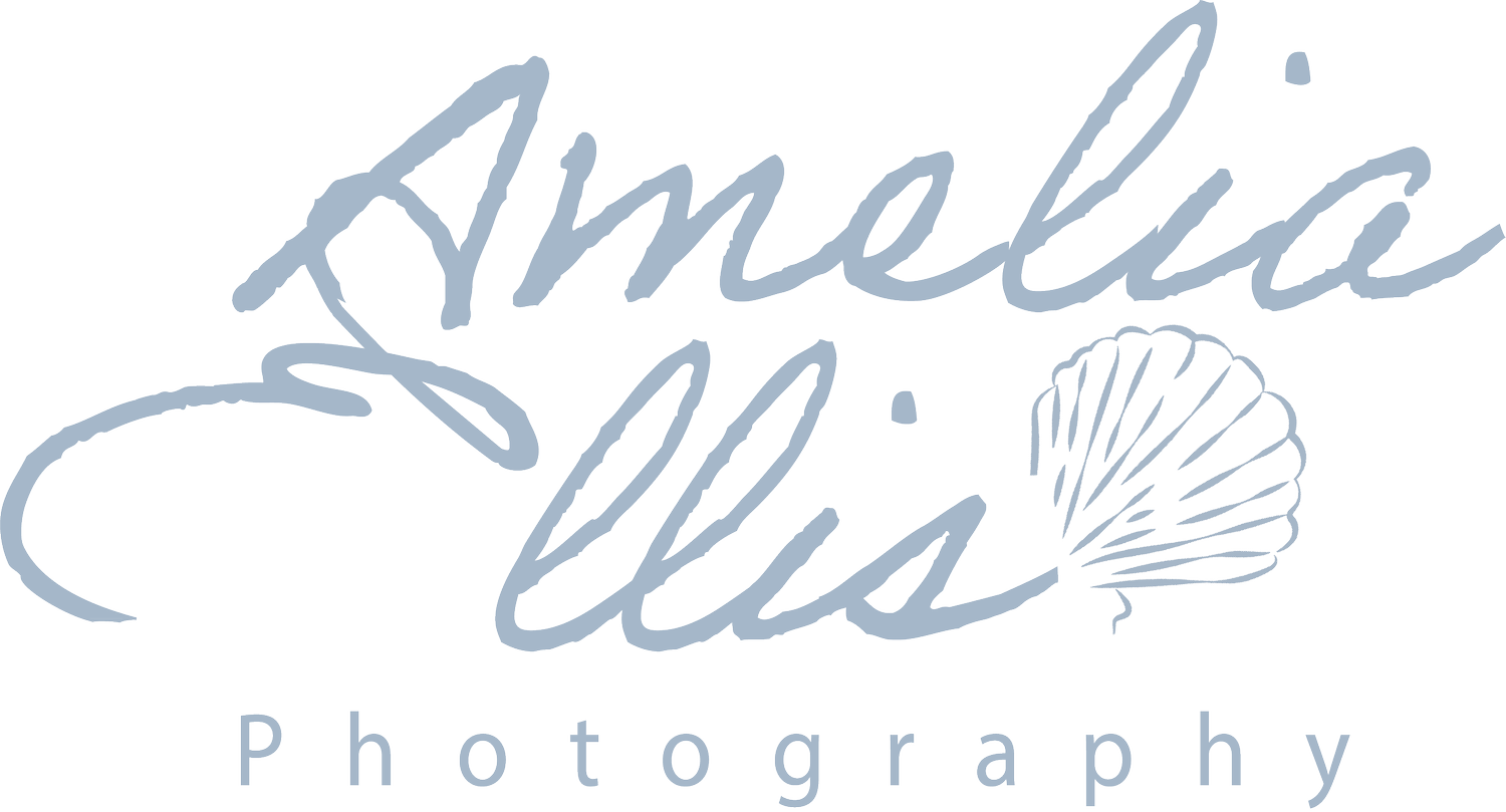 Amelia Ellis Photography