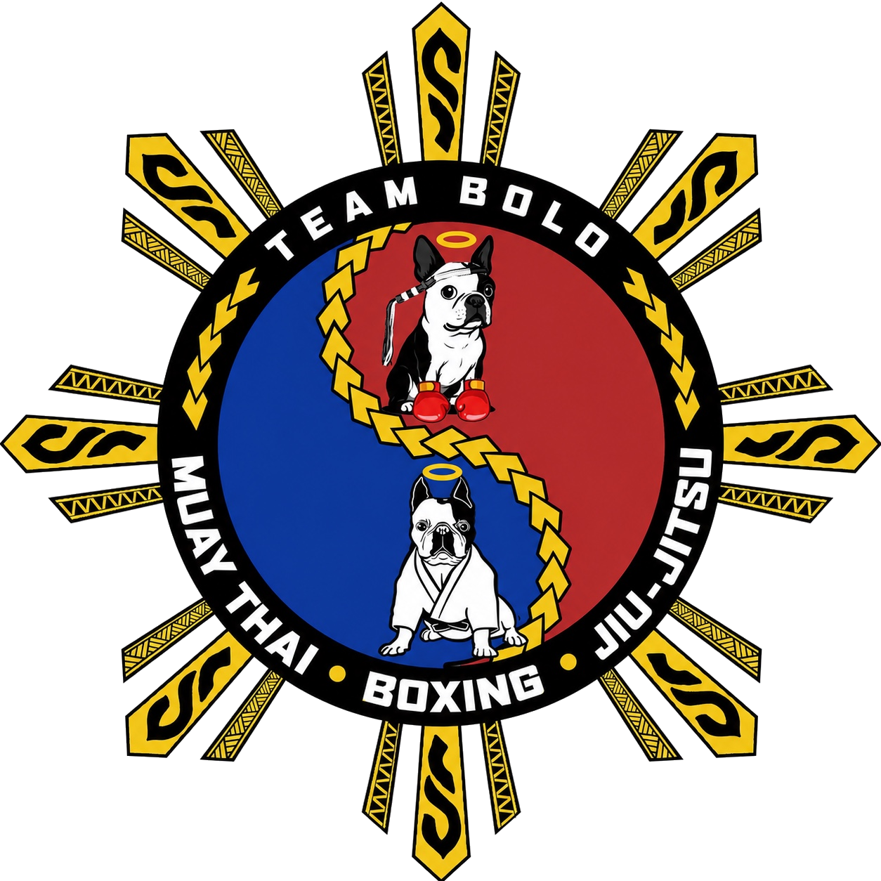 TEAM BOLO MARTIAL ARTS AND SELF DEFENSE