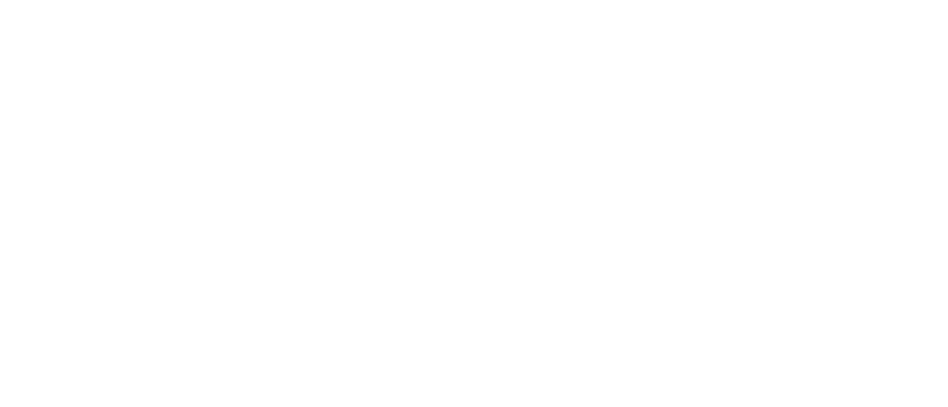 Holy Burger