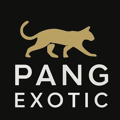 Drive Luxury. Celebrate Boldly. Pang Exotic