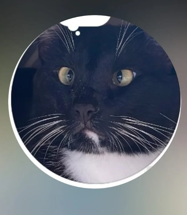 Indi Painting:Turn your favourite photo into a hand painted work of art