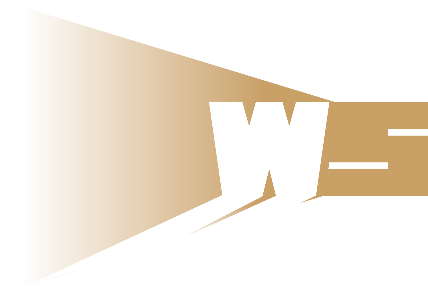 WAN & SCHWARTZ