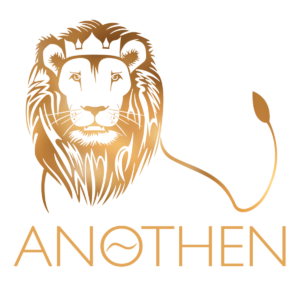 Become a Reformation Leader with an ANOTHEN Pathfinder