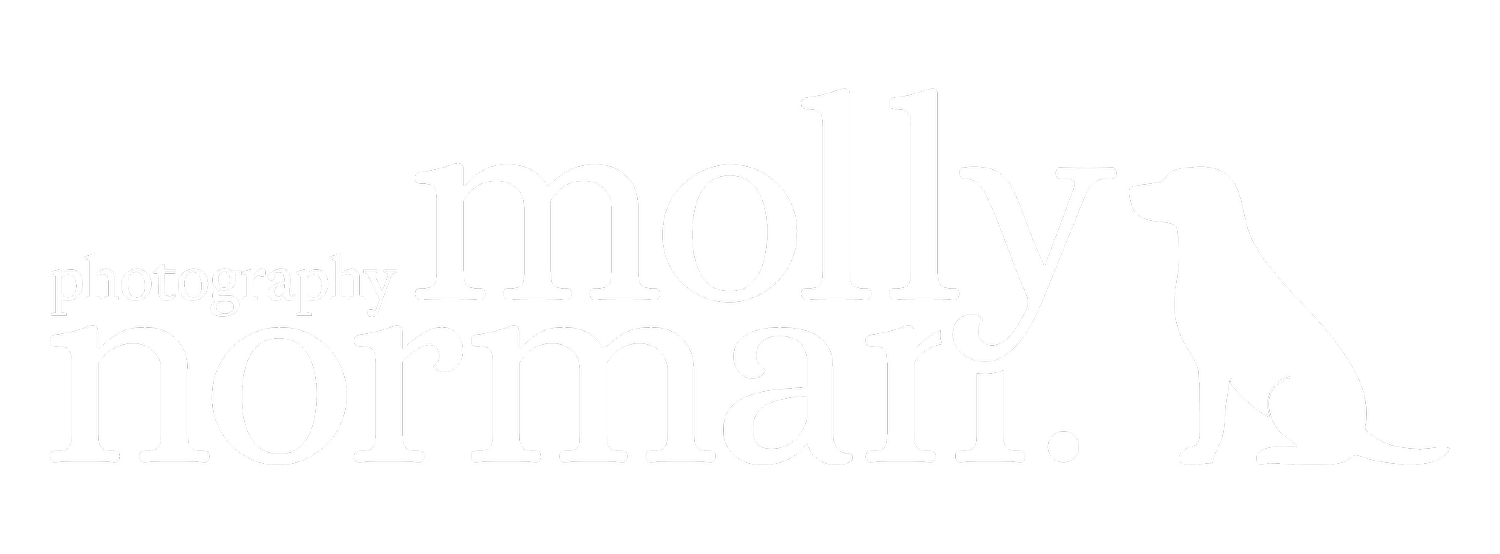 Molly Norman Photography