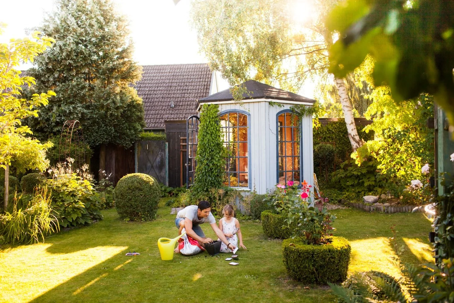 Backyard Remodel