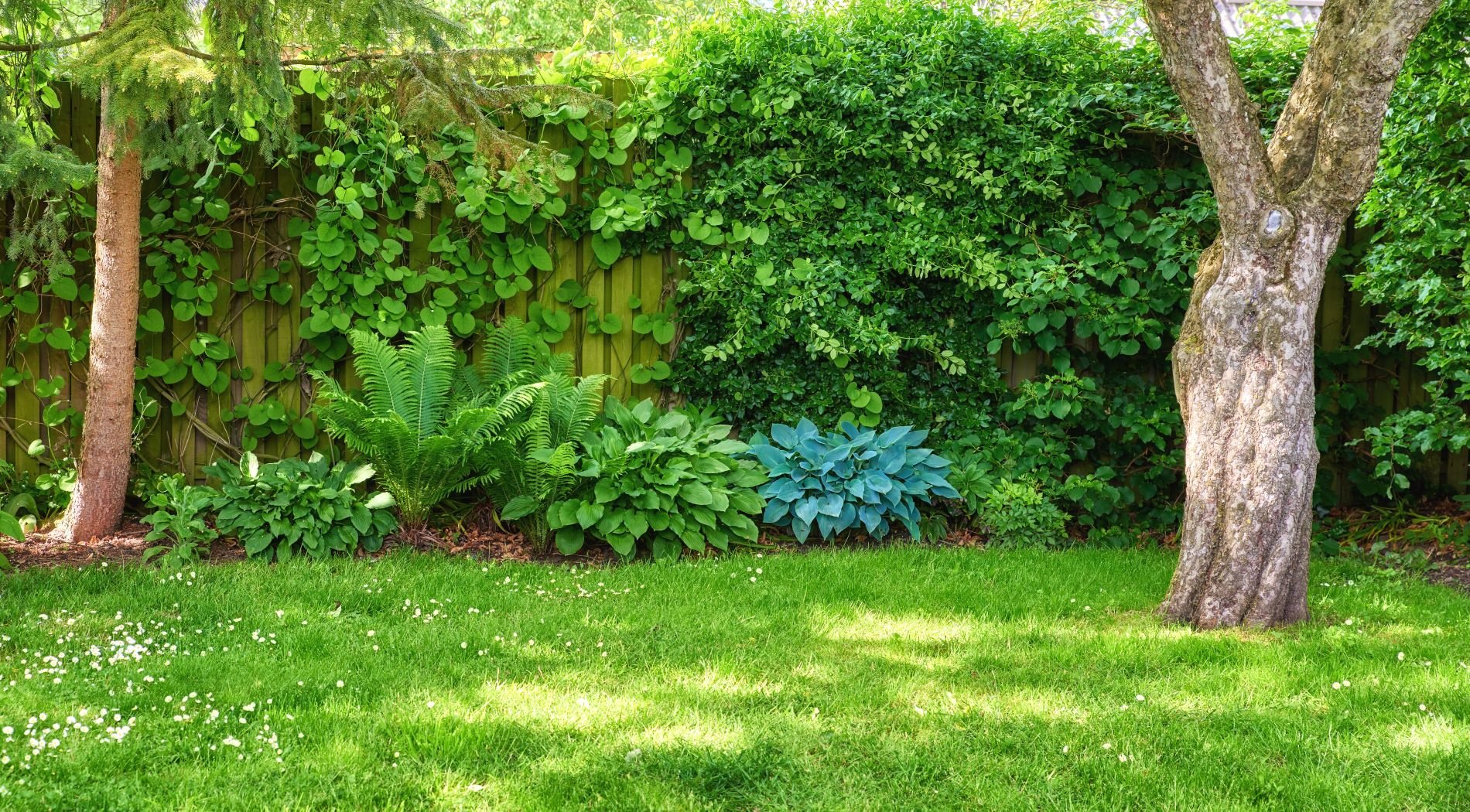 Landscaping Scottsdale