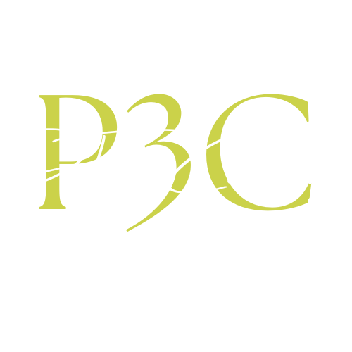 P Three Consulting