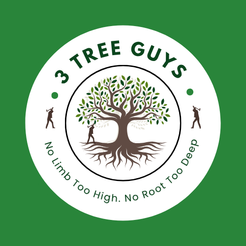 3 Tree Guys