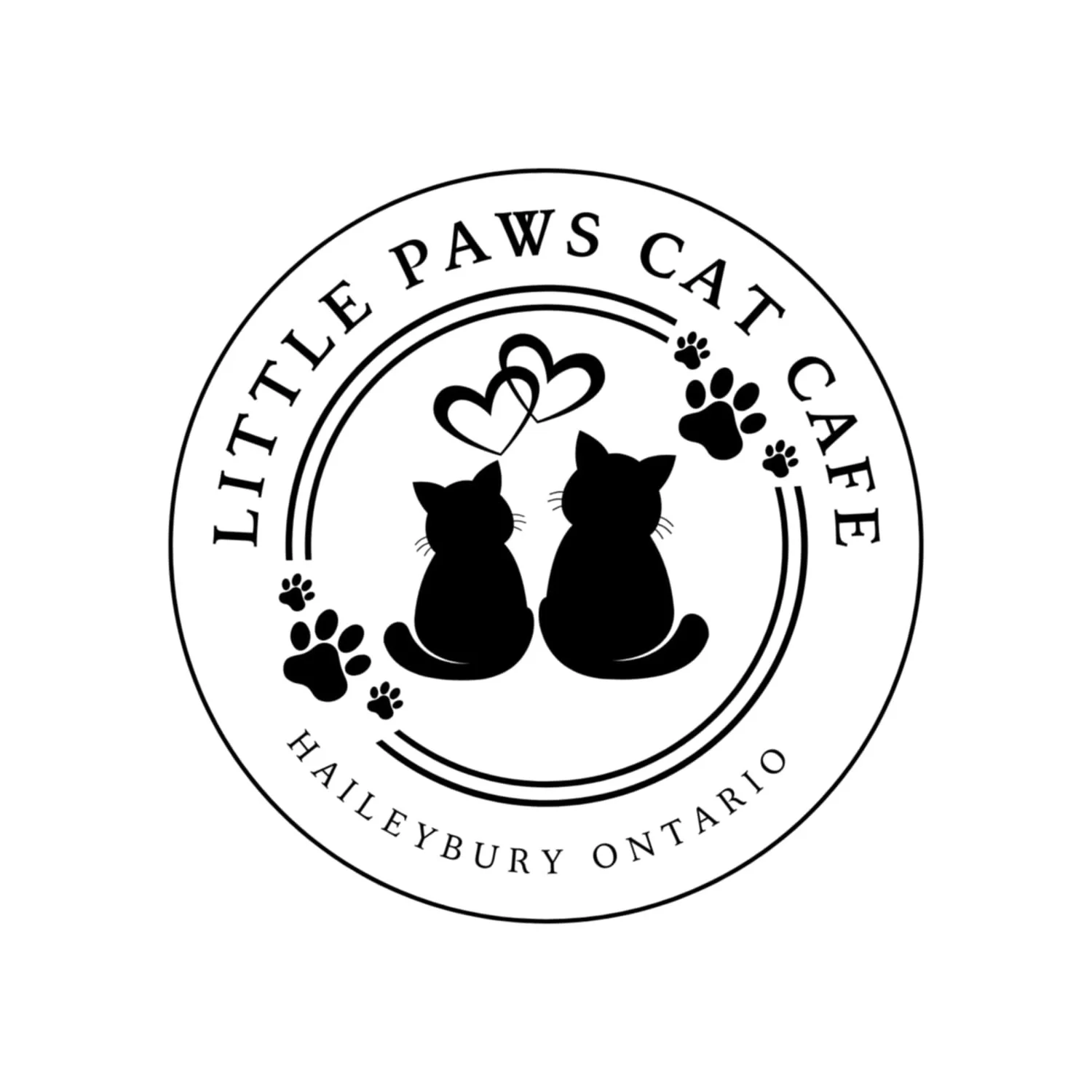 Little Paws Cat Cafe