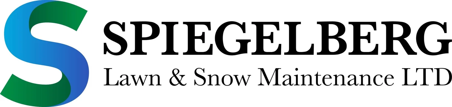 SPIEGELBERG LAWN AND SNOW MAINTENANCE LTD