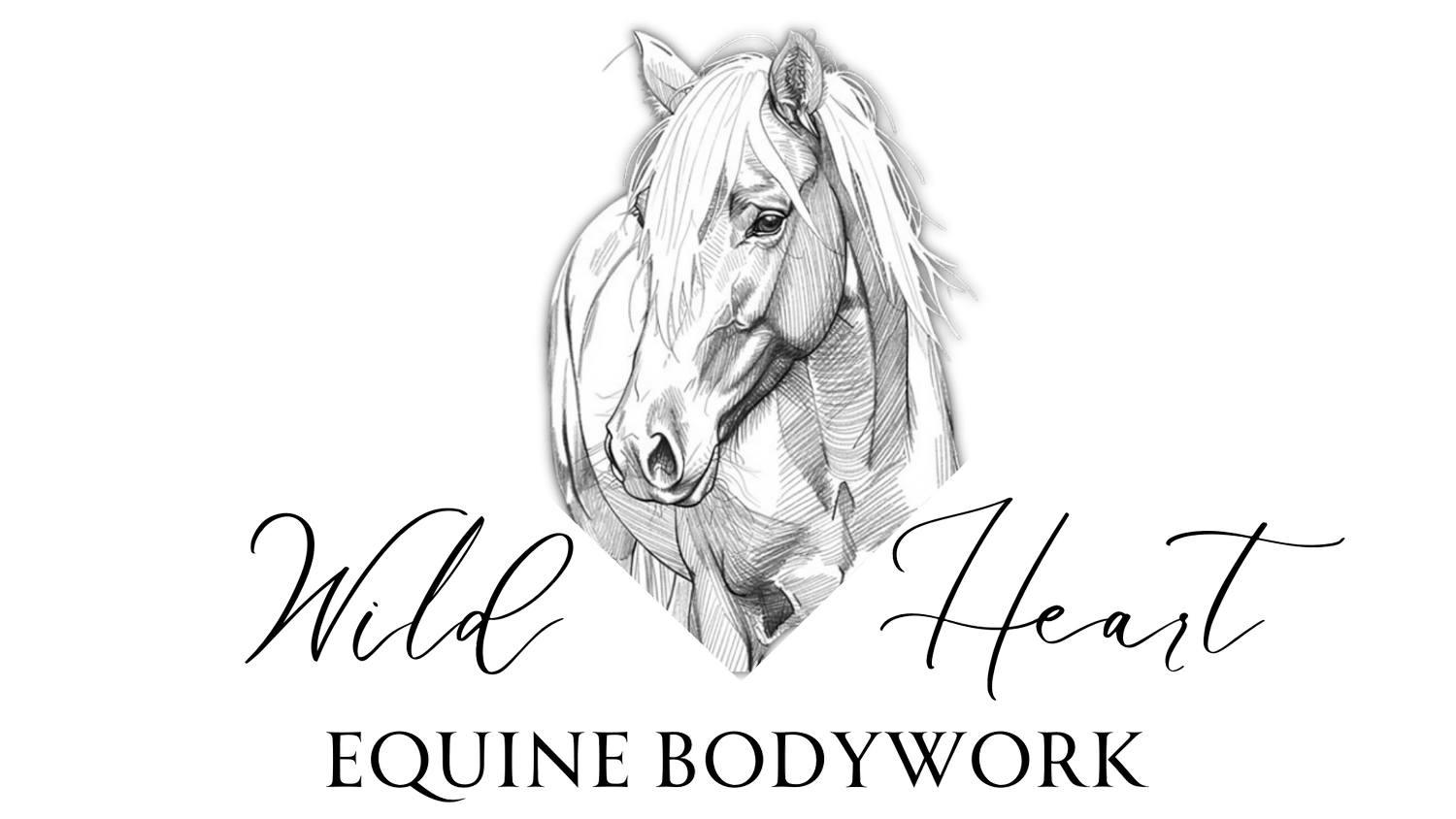 Equine Bodywork & Wellbeing – The Mid North Coast, Serving Hastings & Macleay Valleys