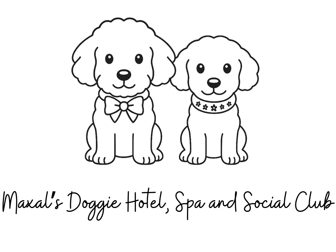 Maxal Doggie Hotel and Social Club