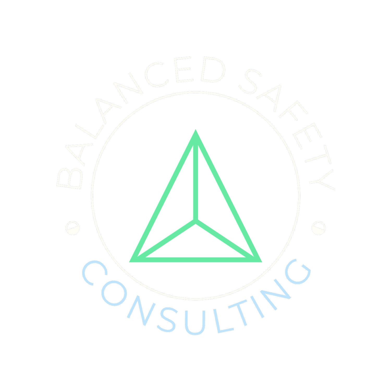 Safety Program Development Services