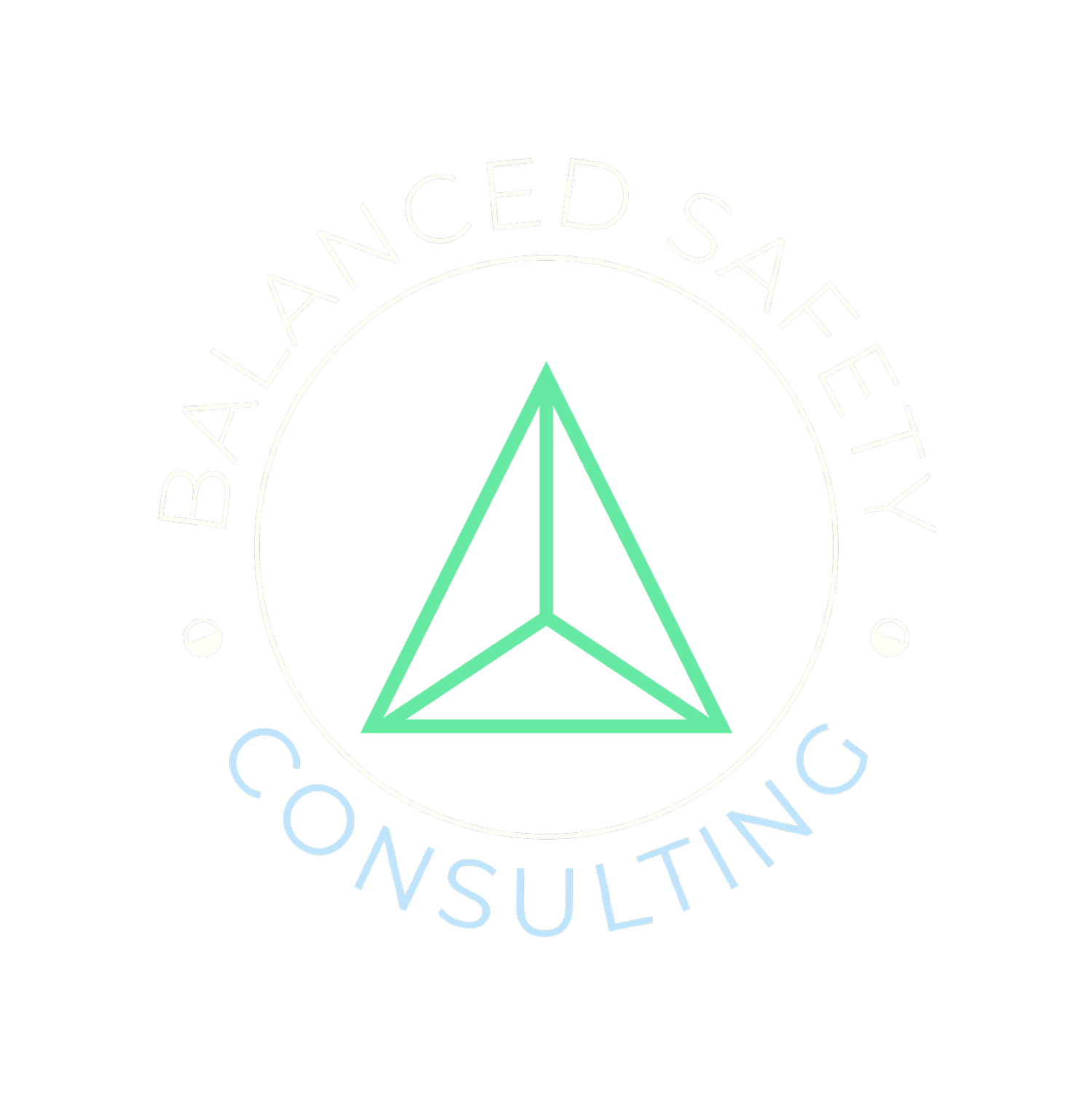 Safety Program Development Services