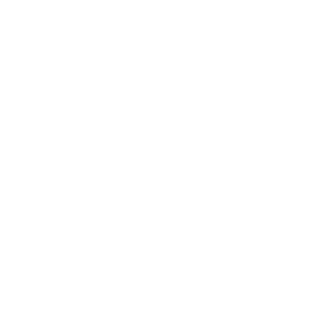 Faithfully Fitted
