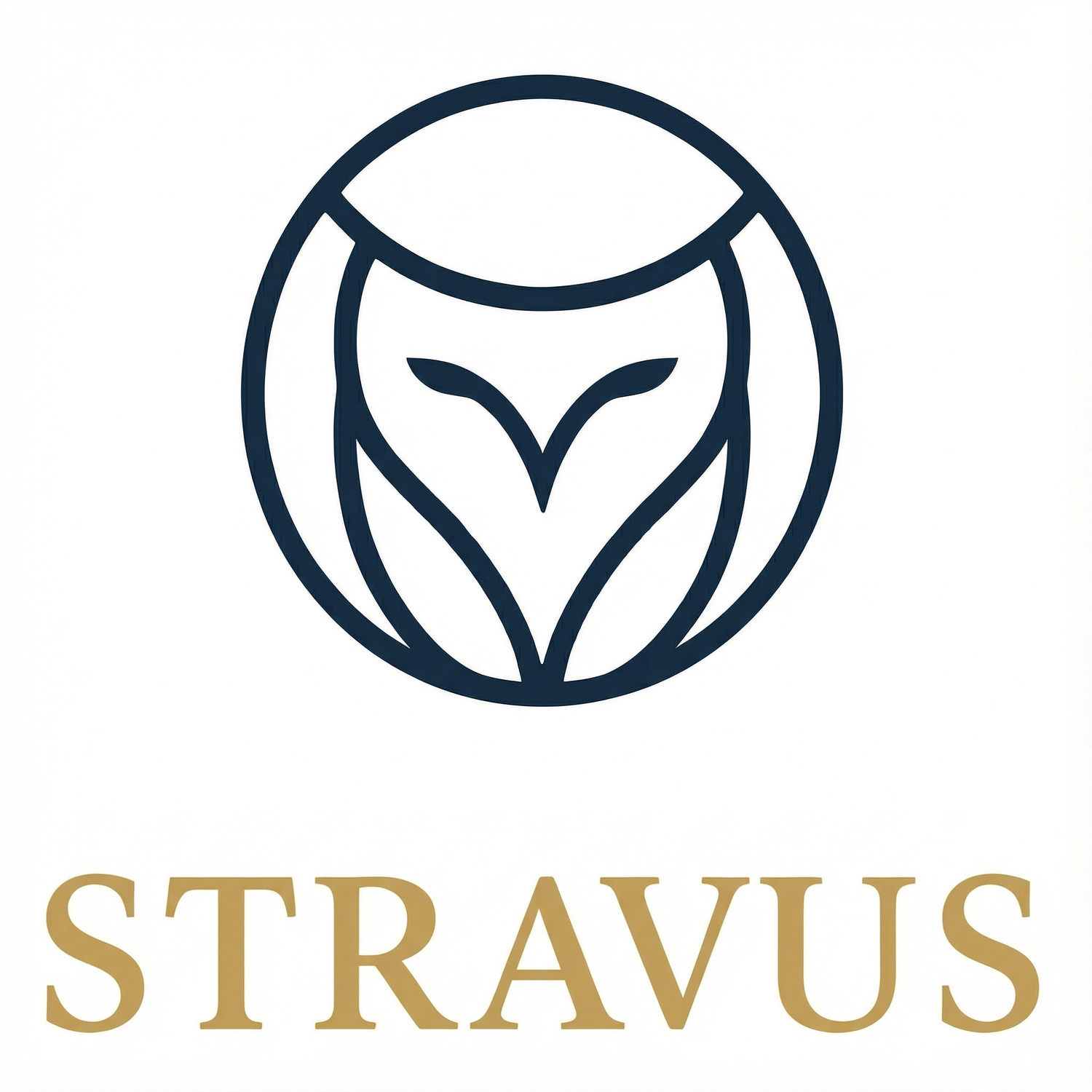 Stravus: the Transformation System
