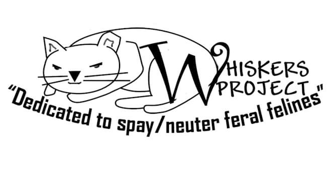 Whiskers Project