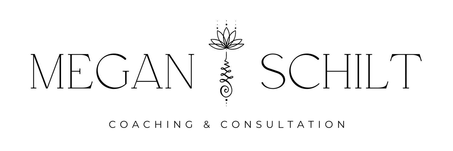 Megan Schilt Coaching & Consulting