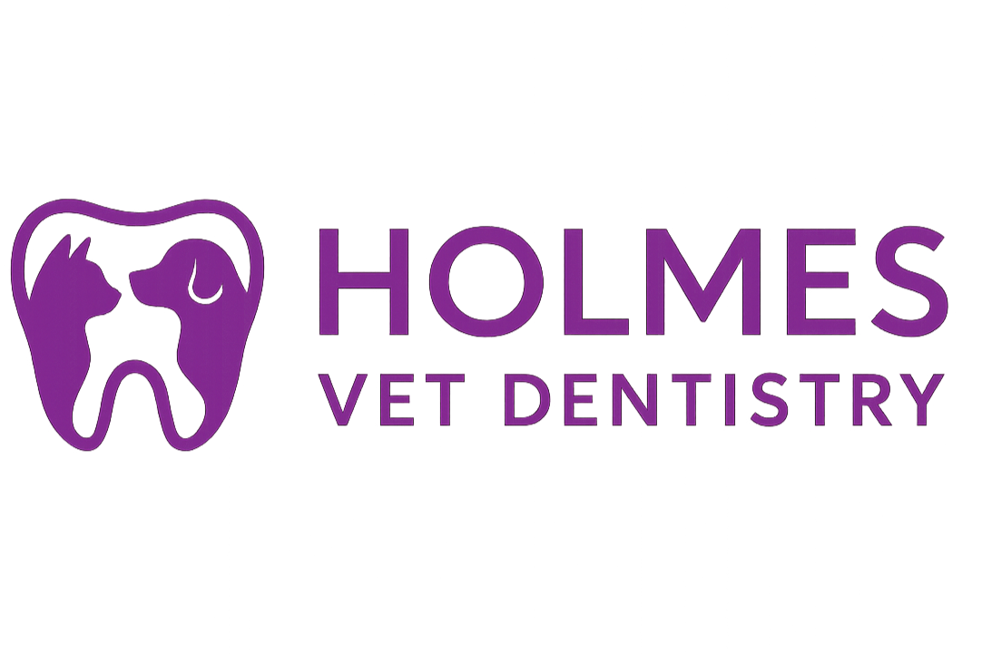 HOLMES VET DENTISTRY