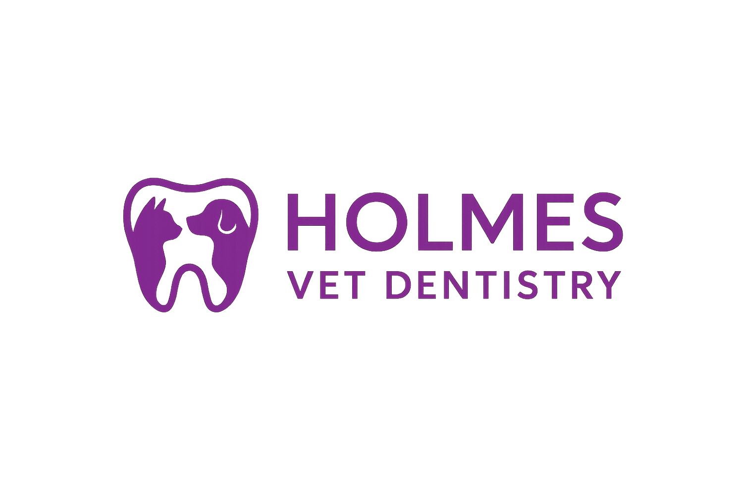 HOLMES VET DENTISTRY