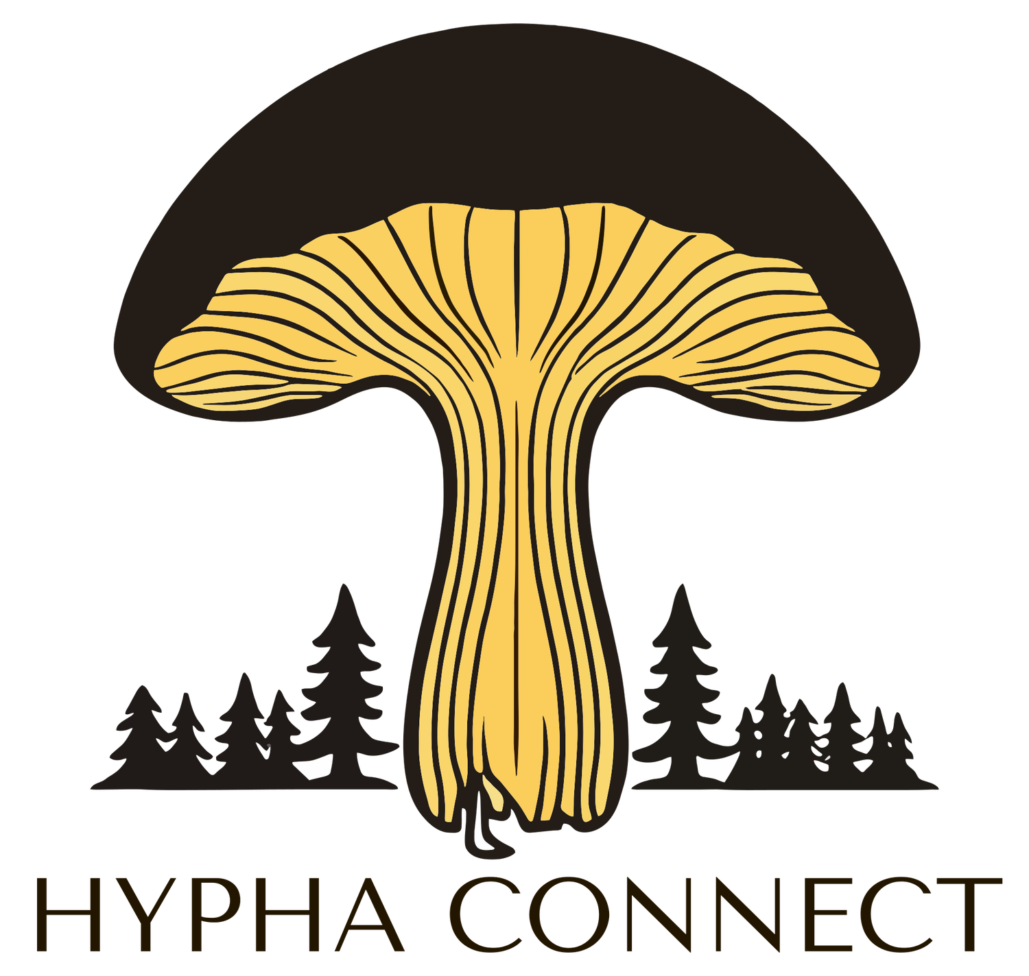 Hypha Connect