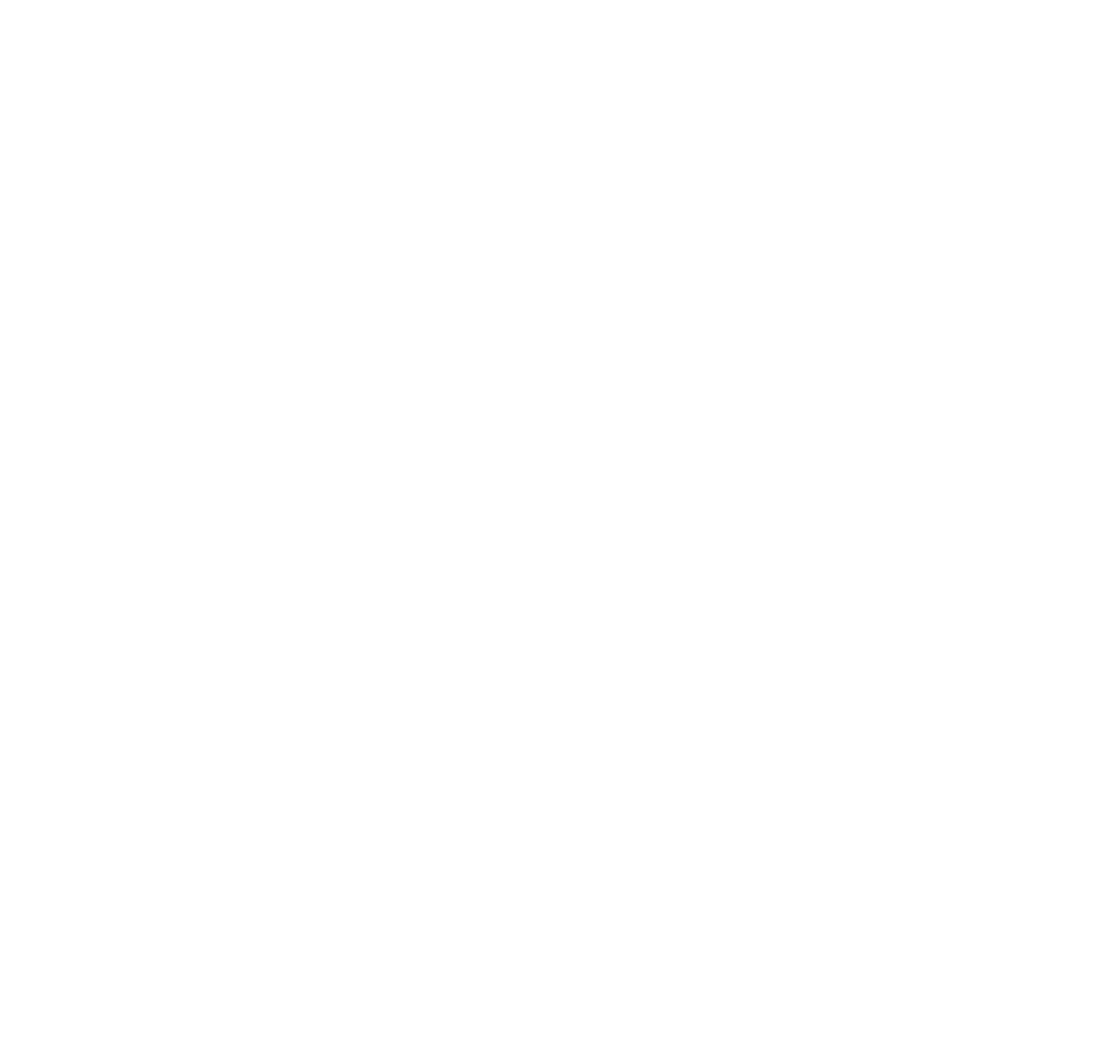Renee Landers Master Teacher and Healer