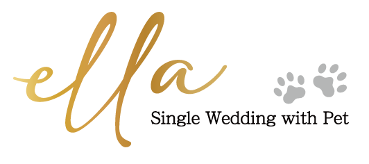 Your Site Title