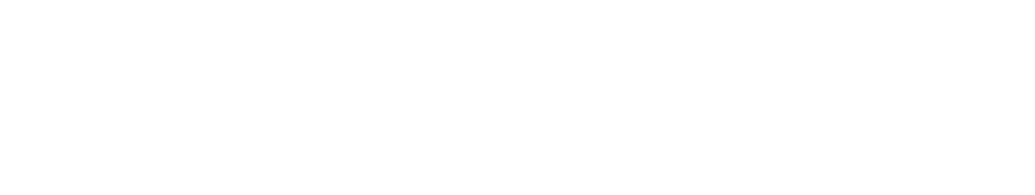 THE CHI AGENCY