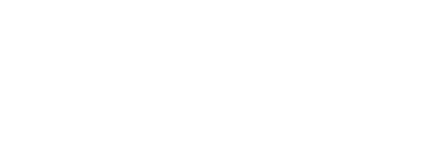 Amelie Washington D.C