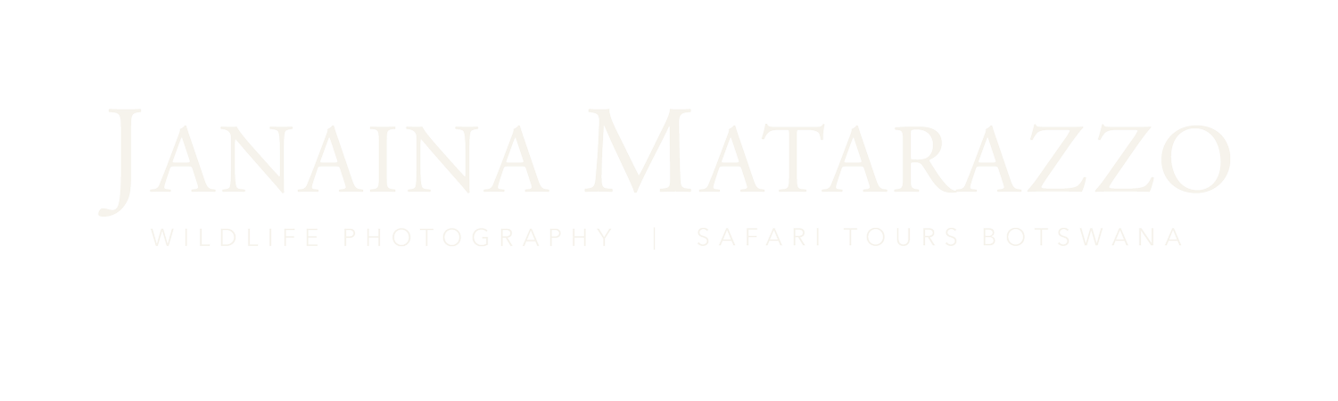 JANAINA MATARAZZO