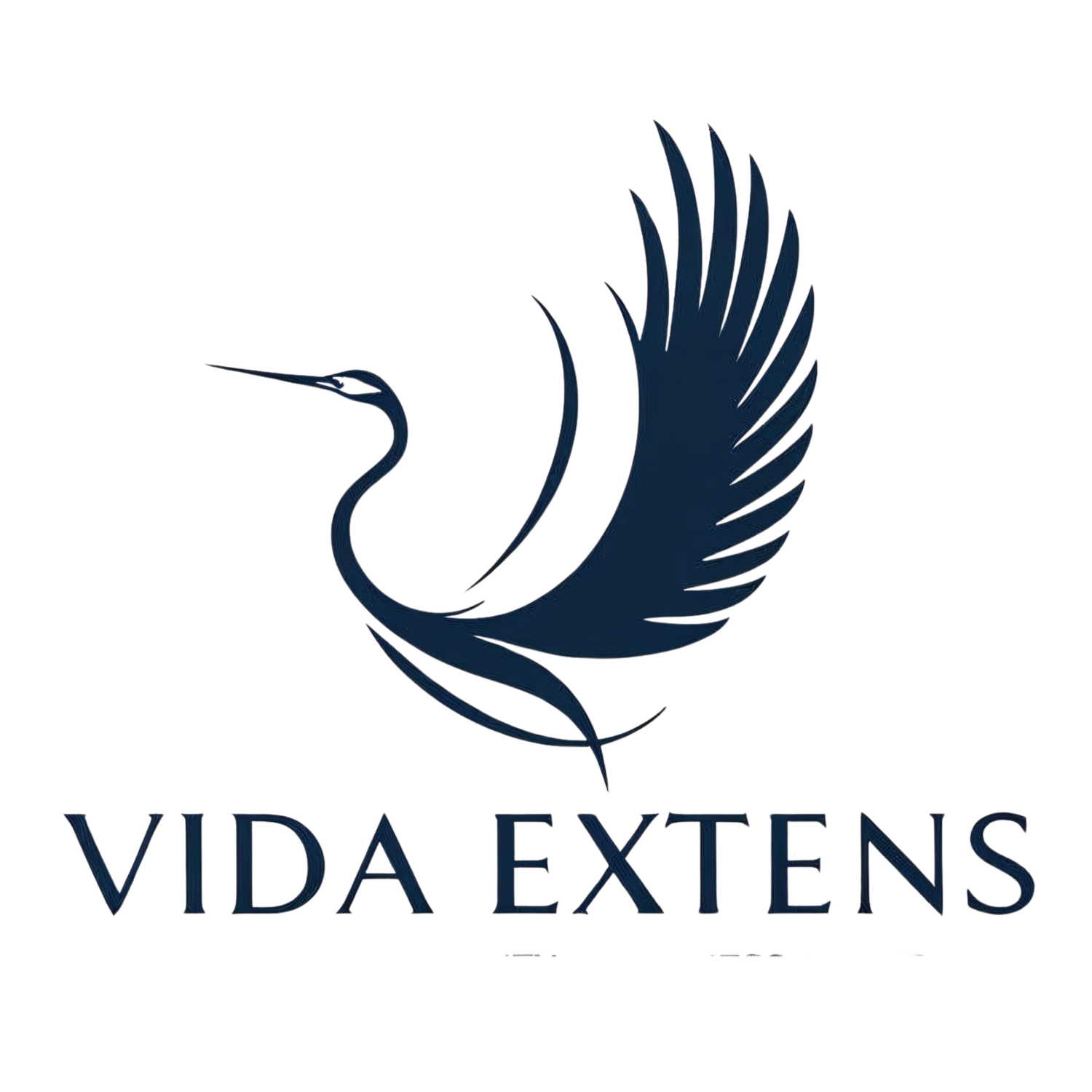 Vida-Extens