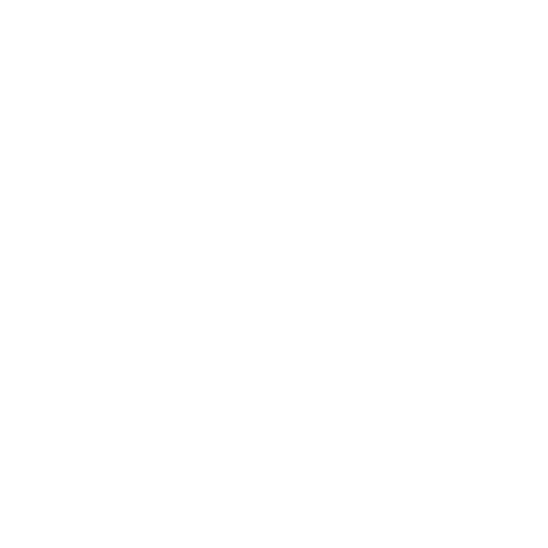 C.2S ENTERPRISE