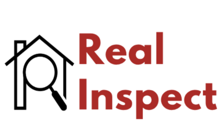Real Inspect