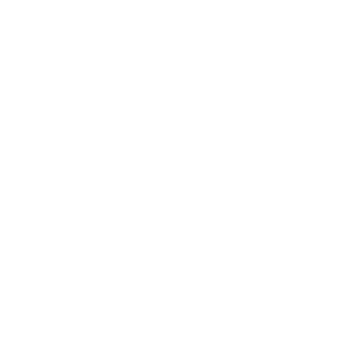International Real Estate Finance