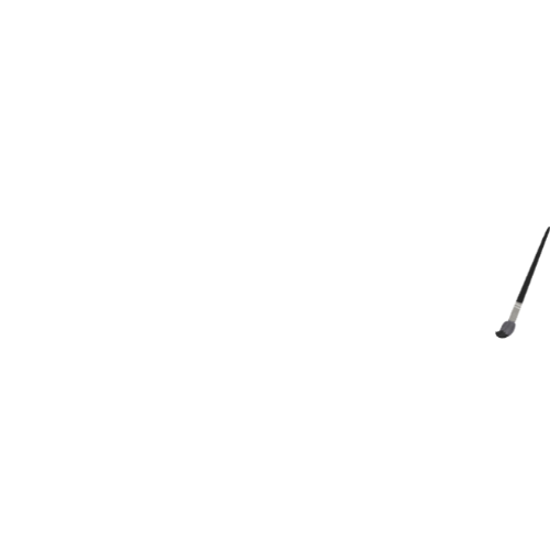 Canvas Events New York
