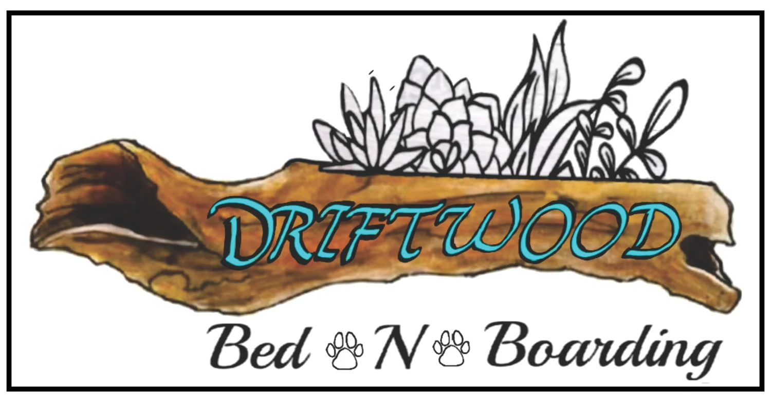 Driftwood Bed N Boarding