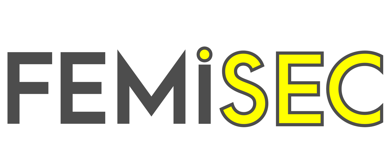 FEMiSEC