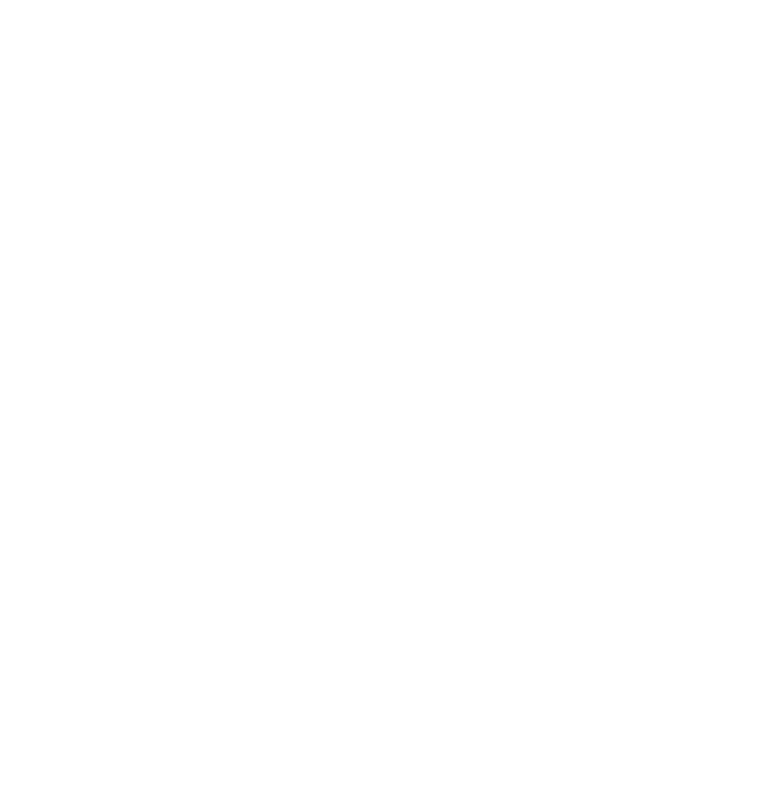 Shield Detailing