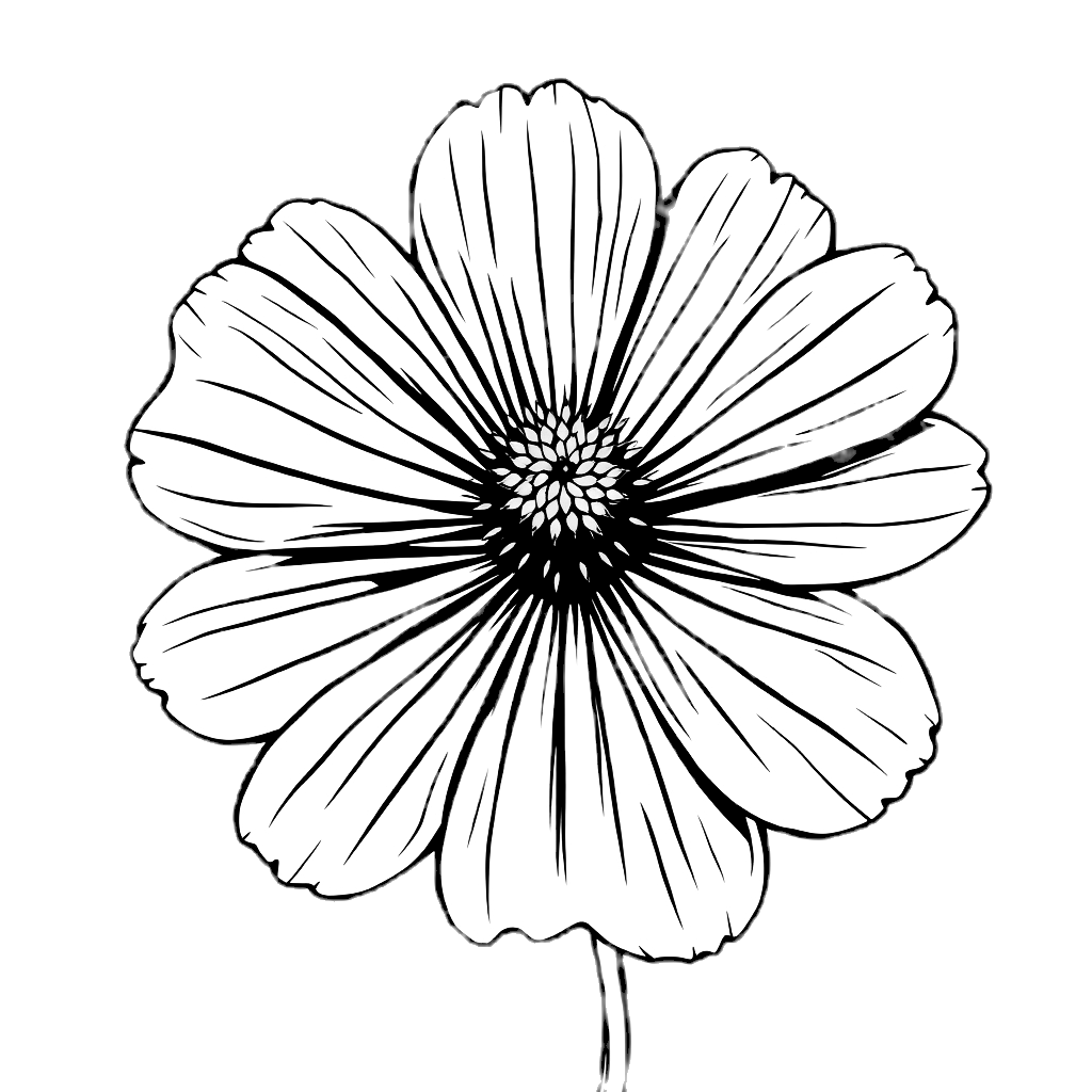 Christine Cosmos