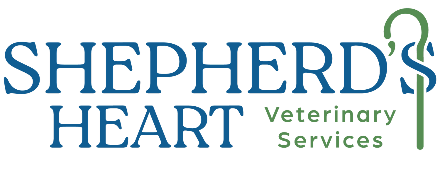 Shepherd's Heart