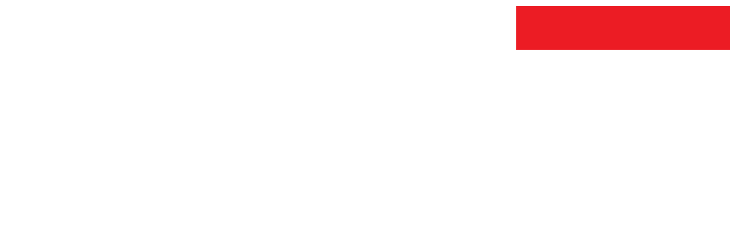 ACE - Flat Roofs and Carpentry