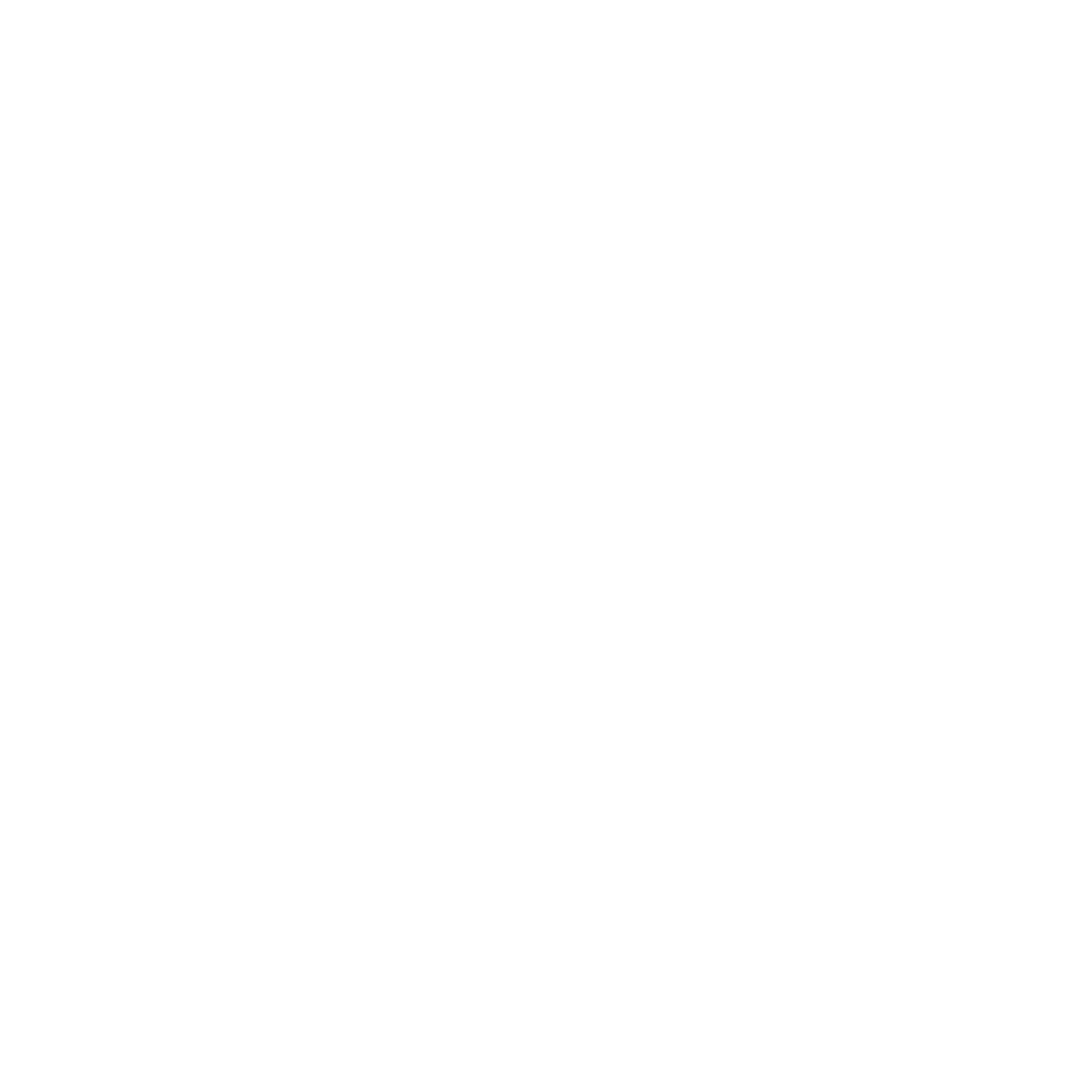 THE LUMINARY