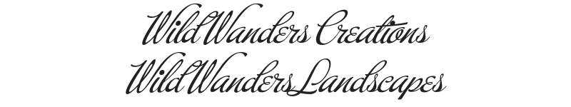 Wild Wanders Creations